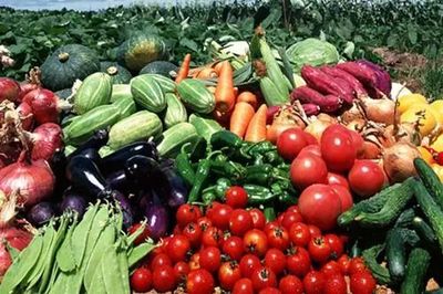 廣東人民最關(guān)心的十個(gè)食品藥品安全問題，答案都在這里！——聚焦食用農(nóng)產(chǎn)品